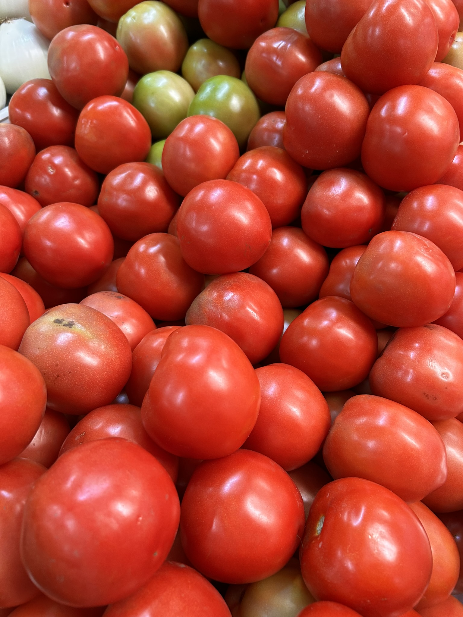 Salsa Bestial en Instagram